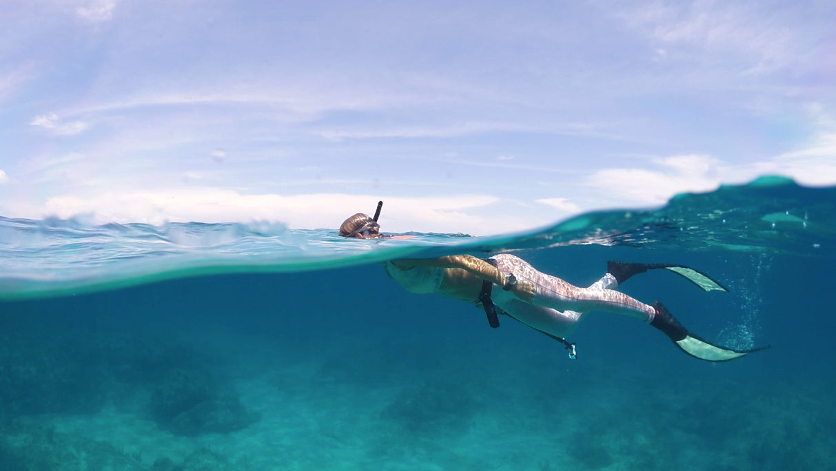 Check out our Freediving Adventures