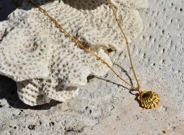 Scallop Sea Shell Necklace
