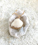 Ark Sea Shell Necklace