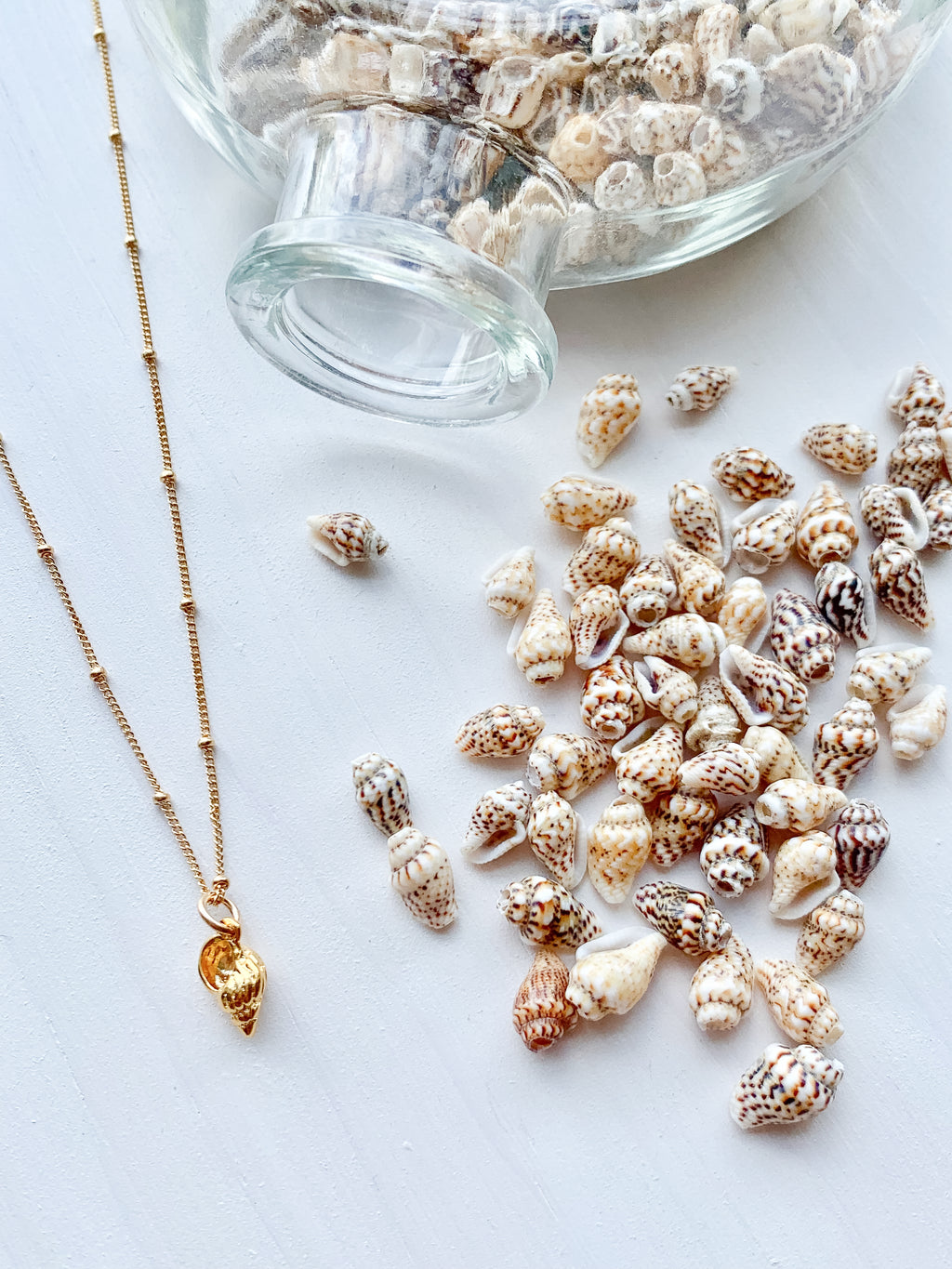 Tiny Bahama Sea Shell Necklace 14k