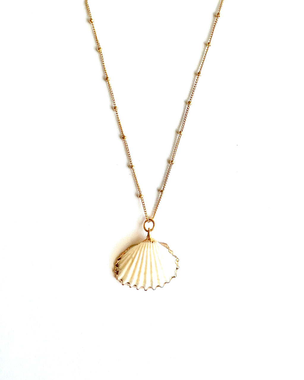 Ark Sea Shell Necklace